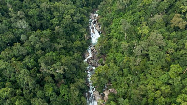 Exploration Approfondie de la Tenue de Ballet : Beauté et Fonctionnalité