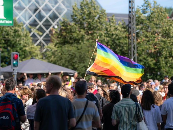 Panneau solaire photovoltaïque : comprendre, installer et optimiser son rendement